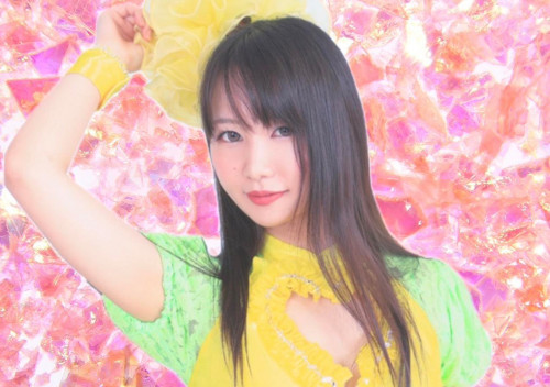 11月11日～20日夏野こだま